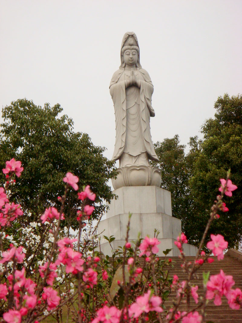 陵园景色